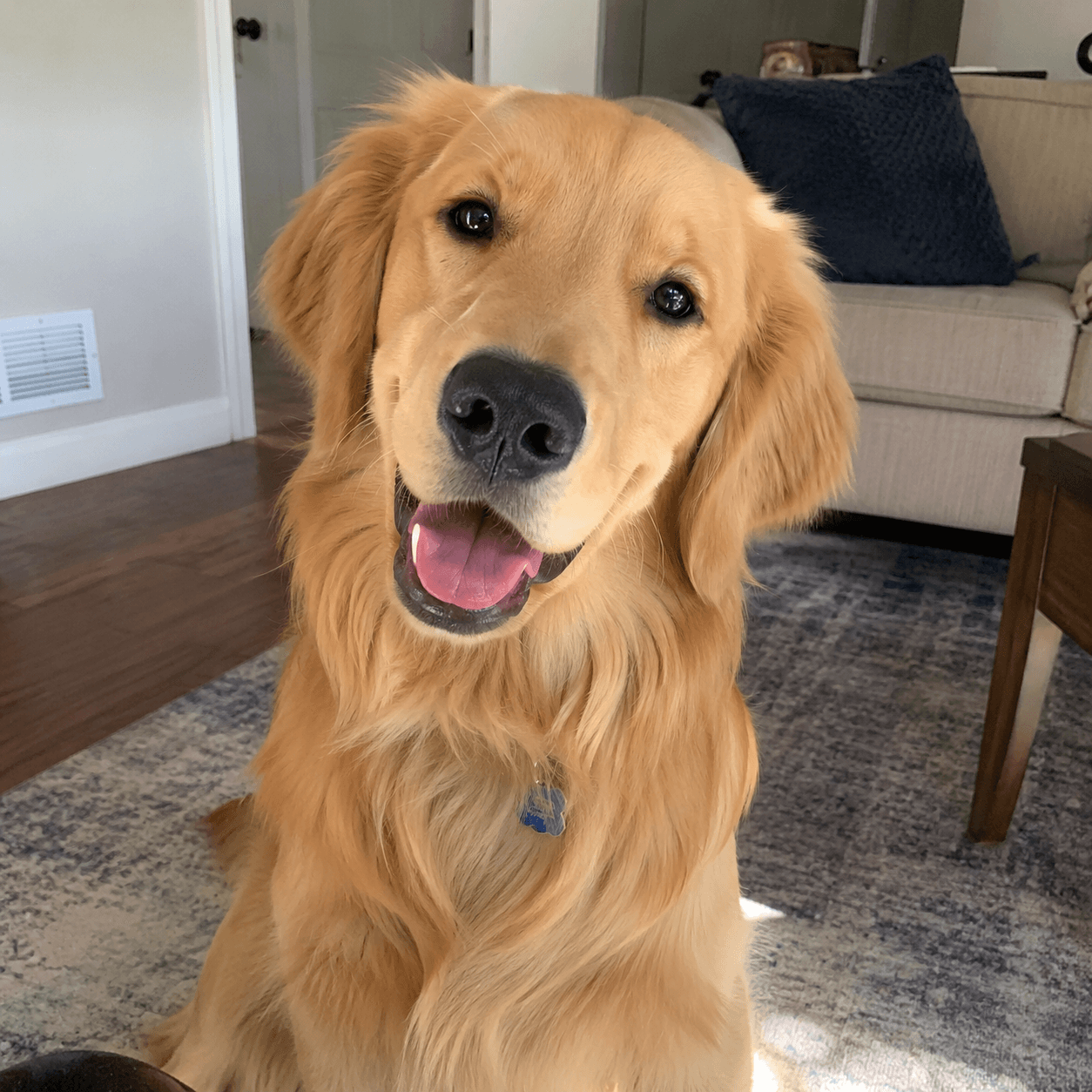 Chloe